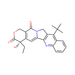 CC[C@@]1(O)C(=O)OCc2c1cc1n(c2=O)Cc2c-1nc1ccccc1c2C(C)(C)C ZINC000028378131