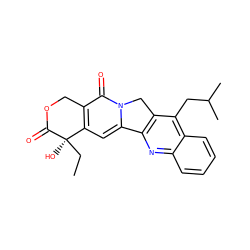 CC[C@@]1(O)C(=O)OCc2c1cc1n(c2=O)Cc2c-1nc1ccccc1c2CC(C)C ZINC000028388896