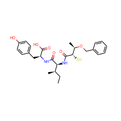 CC[C@@H](C)[C@H](NC(=O)[C@@H](S)[C@@H](C)OCc1ccccc1)C(=O)N[C@@H](Cc1ccc(O)cc1)C(=O)O ZINC000028231048