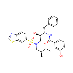 CC[C@@H](C)CN(C[C@@H](O)[C@H](Cc1ccccc1)NC(=O)c1cccc(O)c1)S(=O)(=O)c1ccc2ncsc2c1 ZINC000044405354