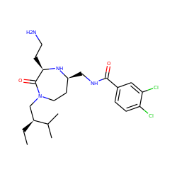 CC[C@@H](CN1CC[C@H](CNC(=O)c2ccc(Cl)c(Cl)c2)N[C@H](CCN)C1=O)C(C)C ZINC000206893655