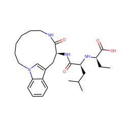 CC[C@@H](N[C@@H](CC(C)C)C(=O)N[C@H]1Cc2cn(c3ccccc23)CCCCCCNC1=O)C(=O)O ZINC000029215785