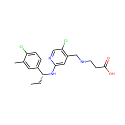 CC[C@@H](Nc1cc(CNCCC(=O)O)c(Cl)cn1)c1ccc(Cl)c(C)c1 ZINC000118394868