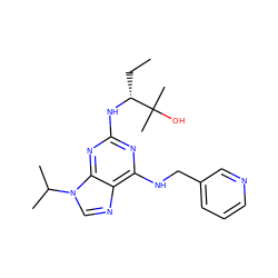 CC[C@@H](Nc1nc(NCc2cccnc2)c2ncn(C(C)C)c2n1)C(C)(C)O ZINC000003939653