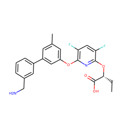 CC[C@@H](Oc1nc(Oc2cc(C)cc(-c3cccc(CN)c3)c2)c(F)cc1F)C(=O)O ZINC000205212633