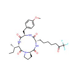 CC[C@H](C)[C@@H]1NC(=O)[C@@H](Cc2ccc(OC)cc2)NC(=O)[C@H](CCCCCC(=O)C(F)(F)F)NC(=O)[C@H]2CCCN2C1=O ZINC000028393120
