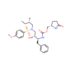 CC[C@H](C)CN(C[C@@H](O)[C@H](Cc1ccccc1)NC(=O)OC[C@@H]1CCC(=O)N1)S(=O)(=O)c1ccc(OC)cc1 ZINC000095553237