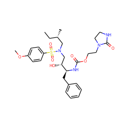 CC[C@H](C)CN(C[C@@H](O)[C@H](Cc1ccccc1)NC(=O)OCCN1CCNC1=O)S(=O)(=O)c1ccc(OC)cc1 ZINC000095553552