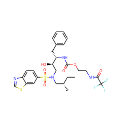 CC[C@H](C)CN(C[C@@H](O)[C@H](Cc1ccccc1)NC(=O)OCCNC(=O)C(F)(F)F)S(=O)(=O)c1ccc2ncsc2c1 ZINC000095555700