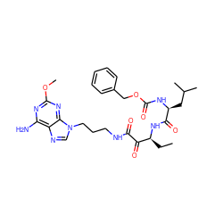 CC[C@H](NC(=O)[C@H](CC(C)C)NC(=O)OCc1ccccc1)C(=O)C(=O)NCCCn1cnc2c(N)nc(OC)nc21 ZINC000059048638