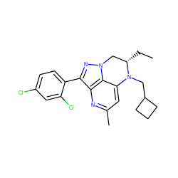 CC[C@H]1Cn2nc(-c3ccc(Cl)cc3Cl)c3nc(C)cc(c32)N1CC1CCC1 ZINC000013672713