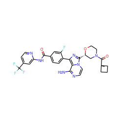 CC1(C(=O)N2CCO[C@@H](c3nc(-c4ccc(C(=O)Nc5cc(C(F)(F)F)ccn5)cc4F)c4c(N)nccn34)C2)CCC1 ZINC001772592783