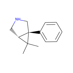 CC1(C)[C@@H]2CNC[C@@]21c1ccccc1 ZINC000045496981