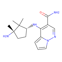 CC1(C)[C@H](Nc2c(C(N)=O)cnn3cccc23)CC[C@]1(C)N ZINC000203805369