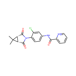 CC1(C)[C@H]2C(=O)N(c3ccc(NC(=O)c4ccccn4)cc3Cl)C(=O)[C@H]21 ZINC000066139884