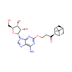 CC1(C)[C@H]2CC[C@H](C(=O)CCOc3nc(N)c4ncn([C@@H]5O[C@@H](CO)[C@H](O)[C@@H]5O)c4n3)[C@H]1C2 ZINC000169314401