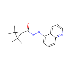 CC1(C)C(C(=O)NNc2cccc3ncccc23)C1(C)C ZINC000040957581