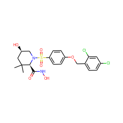 CC1(C)C[C@@H](O)CN(S(=O)(=O)c2ccc(OCc3ccc(Cl)cc3Cl)cc2)[C@H]1C(=O)NO ZINC000003817507