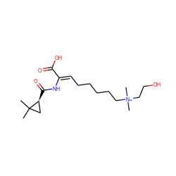 CC1(C)C[C@@H]1C(=O)N/C(=C\CCCCC[N+](C)(C)CCO)C(=O)O ZINC000026026965