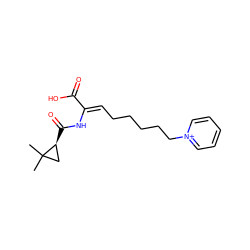 CC1(C)C[C@@H]1C(=O)N/C(=C\CCCCC[n+]1ccccc1)C(=O)O ZINC000026020488