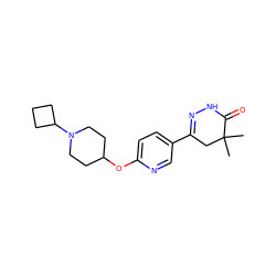 CC1(C)CC(c2ccc(OC3CCN(C4CCC4)CC3)nc2)=NNC1=O ZINC000082152162