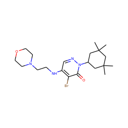 CC1(C)CC(n2ncc(NCCN3CCOCC3)c(Br)c2=O)CC(C)(C)C1 ZINC000118637492