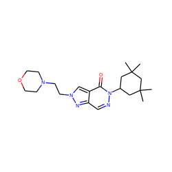 CC1(C)CC(n2ncc3nn(CCN4CCOCC4)cc3c2=O)CC(C)(C)C1 ZINC000118645471