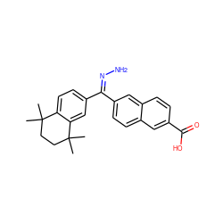 CC1(C)CCC(C)(C)c2cc(/C(=N/N)c3ccc4cc(C(=O)O)ccc4c3)ccc21 ZINC000013604272