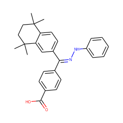 CC1(C)CCC(C)(C)c2cc(/C(=N\Nc3ccccc3)c3ccc(C(=O)O)cc3)ccc21 ZINC000653667970