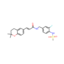 CC1(C)CCc2cc(/C=C/C(=O)NCc3ccc(NS(C)(=O)=O)c(F)c3)ccc2O1 ZINC000040404166