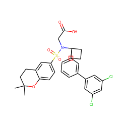 CC1(C)CCc2cc(S(=O)(=O)N(CC(=O)O)C3(c4cccc(-c5cc(Cl)cc(Cl)c5)c4)CCC3)ccc2O1 ZINC000118590565