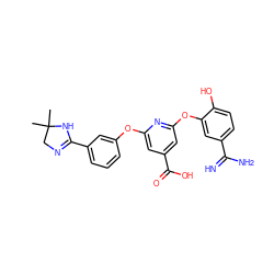 CC1(C)CN=C(c2cccc(Oc3cc(C(=O)O)cc(Oc4cc(C(=N)N)ccc4O)n3)c2)N1 ZINC000013474071