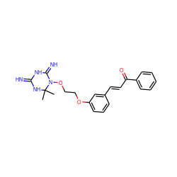 CC1(C)NC(=N)NC(=N)N1OCCOc1cccc(/C=C/C(=O)c2ccccc2)c1 ZINC001772577064