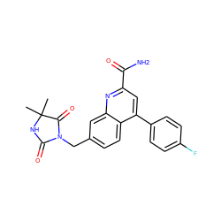 CC1(C)NC(=O)N(Cc2ccc3c(-c4ccc(F)cc4)cc(C(N)=O)nc3c2)C1=O ZINC000205667294