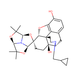 CC1(C)O[C@H]2N3[C@@H]1O[C@]1(CC[C@@]4(O)[C@H]5Cc6ccc(O)c7c6[C@@]4(CCN5CC4CC4)[C@H]1O7)[C@H]3OC2(C)C ZINC000095561000