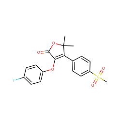 CC1(C)OC(=O)C(Oc2ccc(F)cc2)=C1c1ccc(S(C)(=O)=O)cc1 ZINC000026935123