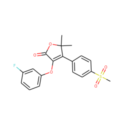 CC1(C)OC(=O)C(Oc2cccc(F)c2)=C1c1ccc(S(C)(=O)=O)cc1 ZINC000000841674