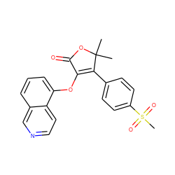 CC1(C)OC(=O)C(Oc2cccc3cnccc23)=C1c1ccc(S(C)(=O)=O)cc1 ZINC000026935379