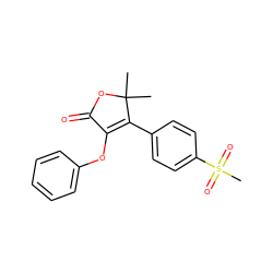 CC1(C)OC(=O)C(Oc2ccccc2)=C1c1ccc(S(C)(=O)=O)cc1 ZINC000026939503