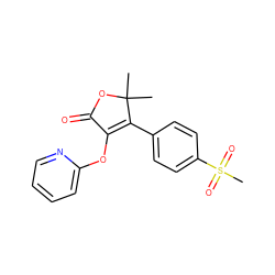 CC1(C)OC(=O)C(Oc2ccccn2)=C1c1ccc(S(C)(=O)=O)cc1 ZINC000026935374