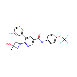 CC1(O)CN(c2ncc(C(=O)Nc3ccc(OC(F)(F)F)cc3)cc2-c2cncc(F)c2)C1 ZINC001772650342