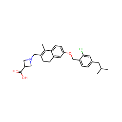 CC1=C(CN2CC(C(=O)O)C2)CCc2cc(OCc3ccc(CC(C)C)cc3Cl)ccc21 ZINC000117386289