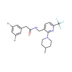 CC1CCN(c2nc(C(F)(F)F)ccc2CNC(=O)Cc2cc(Br)cc(Br)c2)CC1 ZINC000118202462