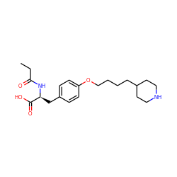 CCC(=O)N[C@@H](Cc1ccc(OCCCCC2CCNCC2)cc1)C(=O)O ZINC000013738121