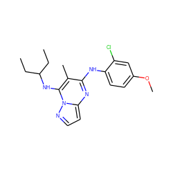 CCC(CC)Nc1c(C)c(Nc2ccc(OC)cc2Cl)nc2ccnn12 ZINC000072116822