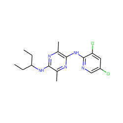 CCC(CC)Nc1nc(C)c(Nc2ncc(Cl)cc2Cl)nc1C ZINC000028956187