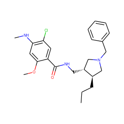 CCC[C@@H]1CN(Cc2ccccc2)C[C@H]1CNC(=O)c1cc(Cl)c(NC)cc1OC ZINC000027900994