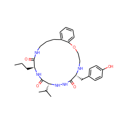 CCC[C@@H]1NC(=O)[C@@H](C(C)C)NNC(=O)[C@@H](Cc2ccc(O)cc2)NCCOc2ccccc2CCCNC1=O ZINC000036160729