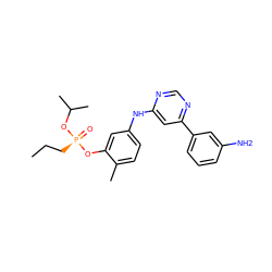 CCC[P@@](=O)(Oc1cc(Nc2cc(-c3cccc(N)c3)ncn2)ccc1C)OC(C)C ZINC000169342851