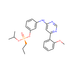 CCC[P@@](=O)(Oc1cccc(Nc2cc(-c3ccccc3OC)ncn2)c1)OC(C)C ZINC000169342855